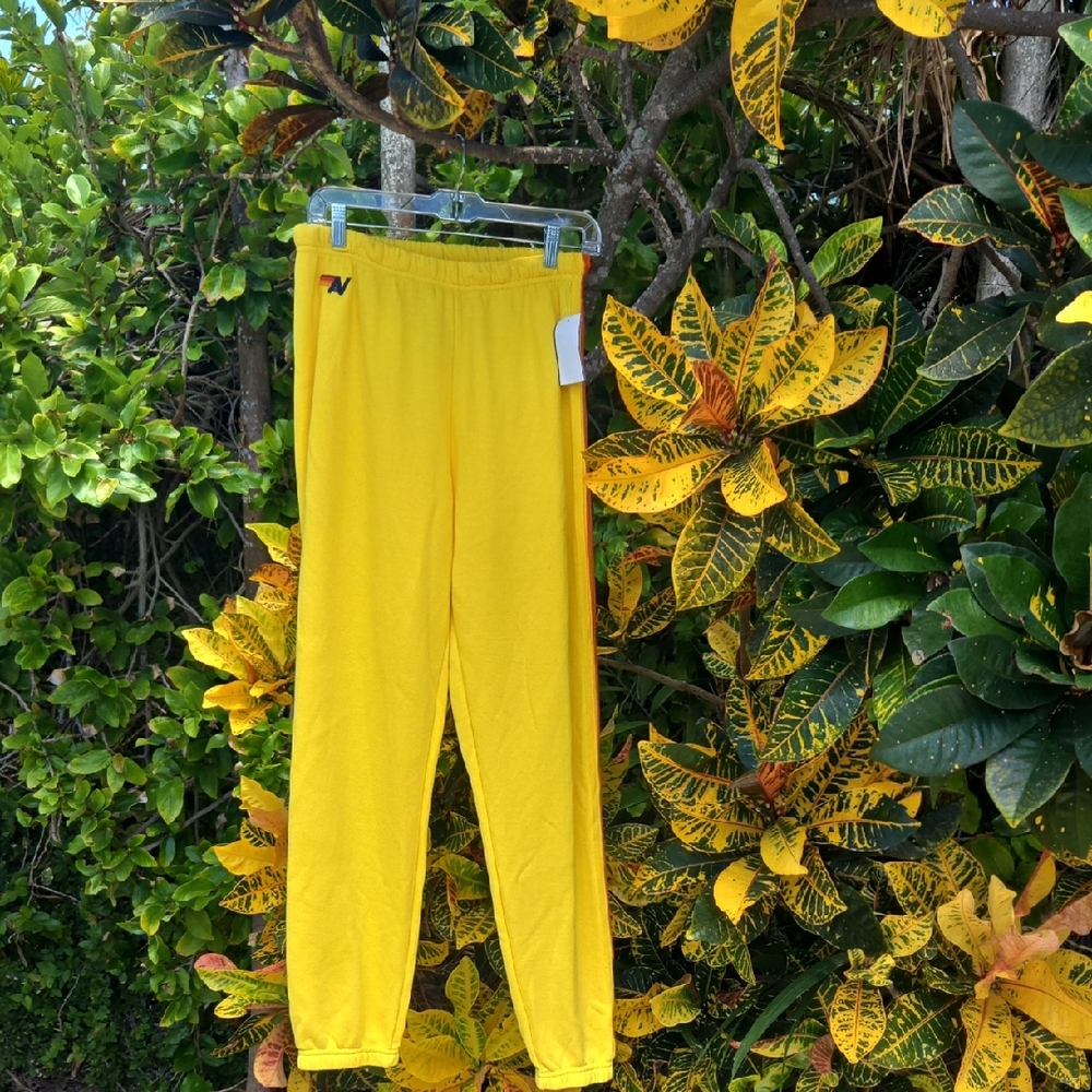 Aviator Nation 5 Stripe Sweatpants